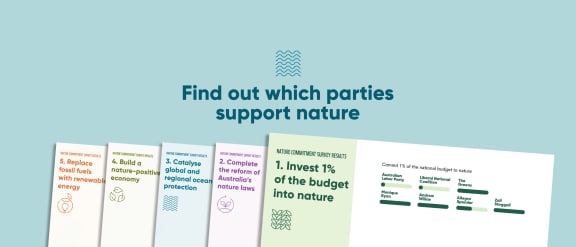 infographic web banner for WWF-Australia 2025 Nature Commitment Survey. 5 scorecards with results from the nature commitment survey against a light blue background.